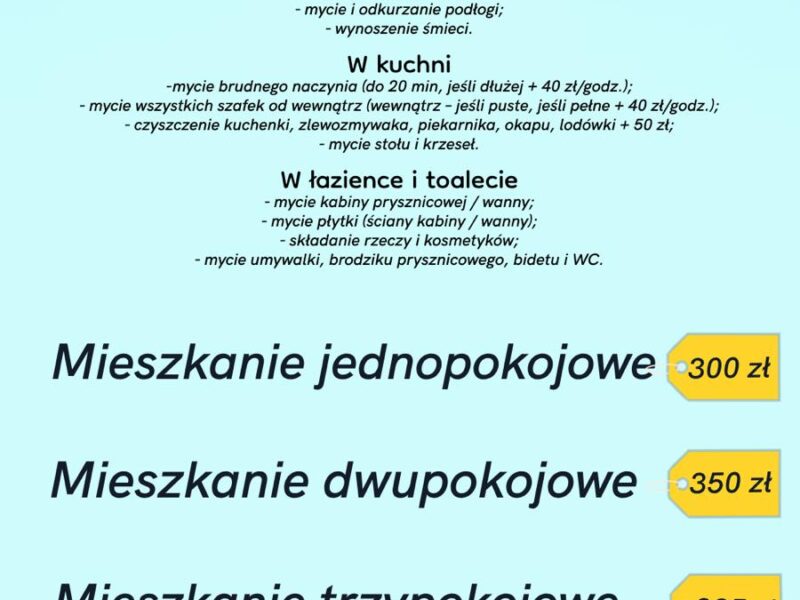 Хімчистка м'яких меблів, килимів, матраців, салонів авто.