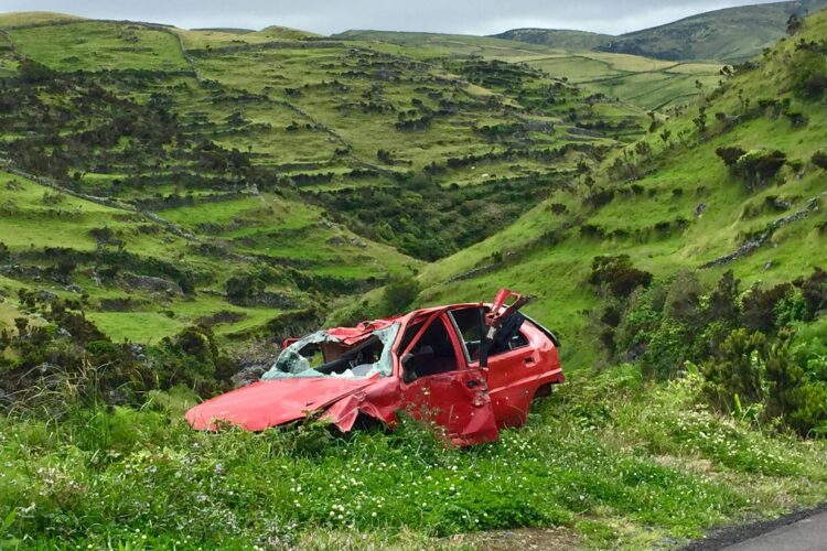 Велика аварія поблизу Варшави: зіштовхнулося шість автомобілів, загинули два кабани
