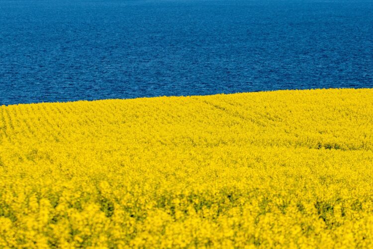 ТОП сезонних підробітків для молоді: де українським студентам заробити влітку?