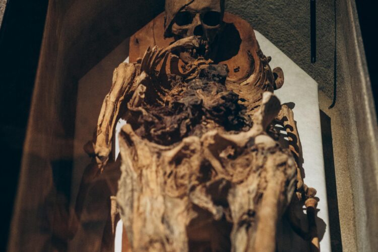 Шокуюча знахідка у Львові: Українсько-польська експедиція почала розкопки – дізнайся, що виявили!